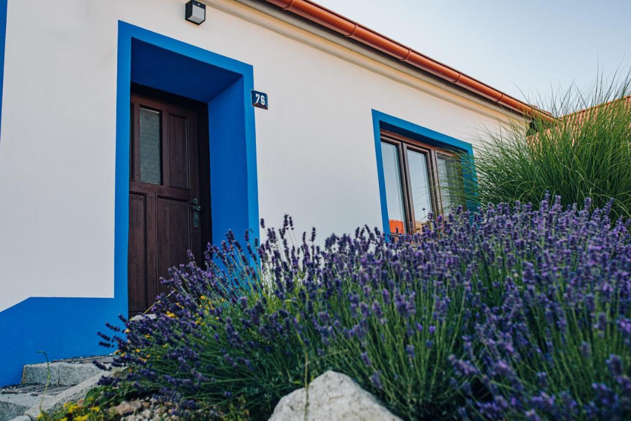 Holiday home L Jizni Morava L Palava Sakvice