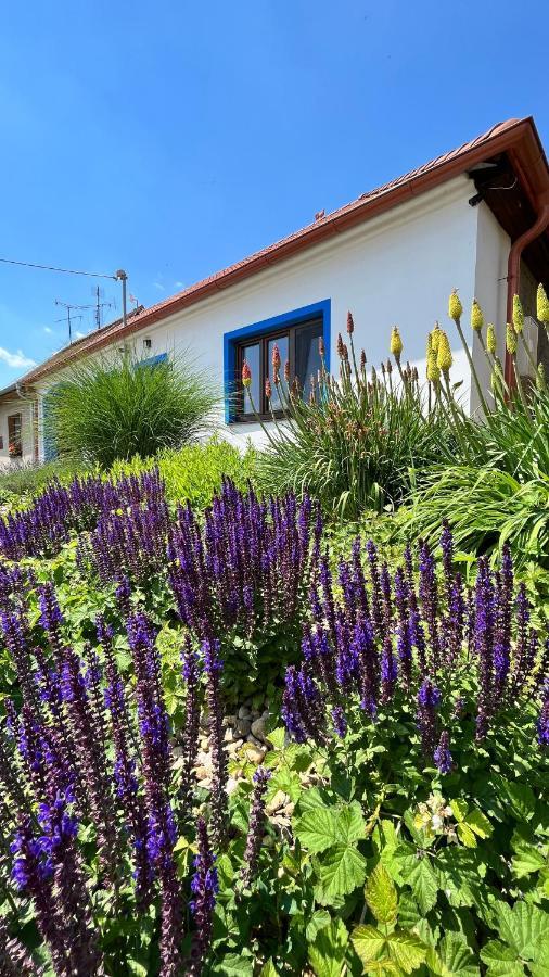 L Jizni Morava L Palava Holiday home *