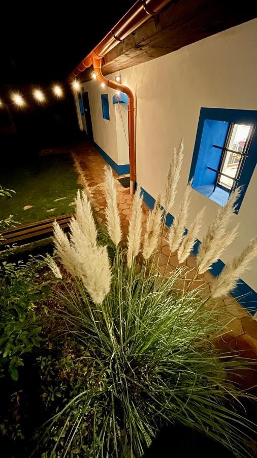 L Jizni Morava L Palava Holiday home *